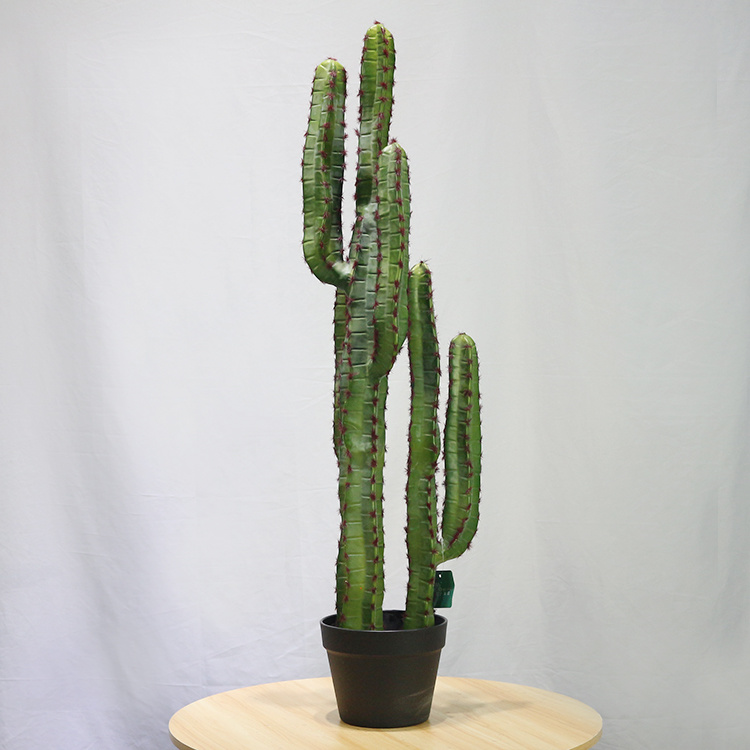 New-Style-Plastic-Saguaro-Cactus-Buy-Artificial-Cactus-Plant-at-Toronto-Cactus-and-Succulent-Club (3).jpg